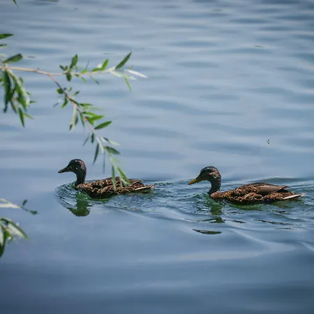 Hotel Inn Design & Restaurant Le Mans Hotel 2*