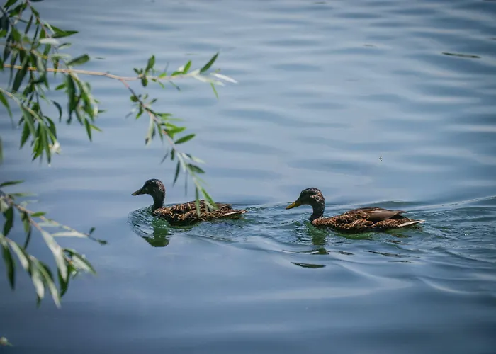 Design & Restaurant Le Mans Szálloda 2*